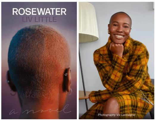 Book Review — Rosewater by Liv Little